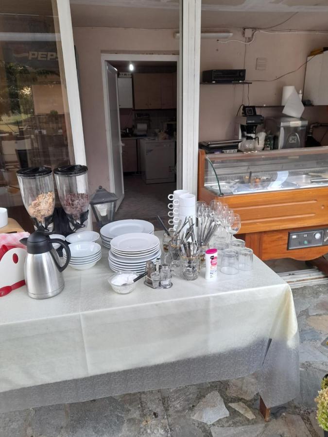 Ntinasvillage ليبتوكاريا المظهر الخارجي الصورة