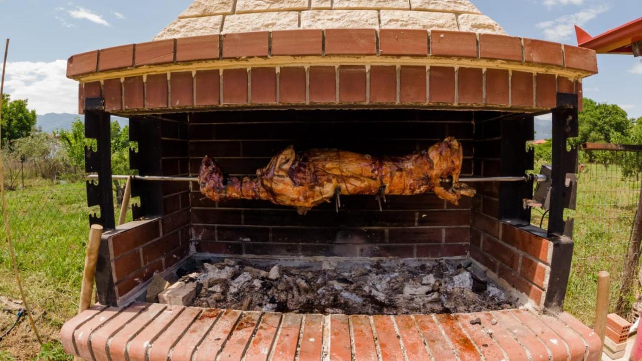 Ntinasvillage ليبتوكاريا المظهر الخارجي الصورة